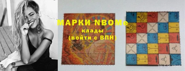сатива Покачи